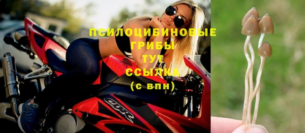 амф Алексеевка