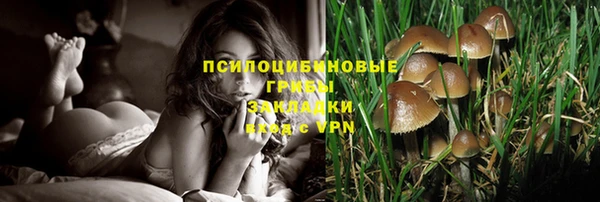 амф Алексеевка