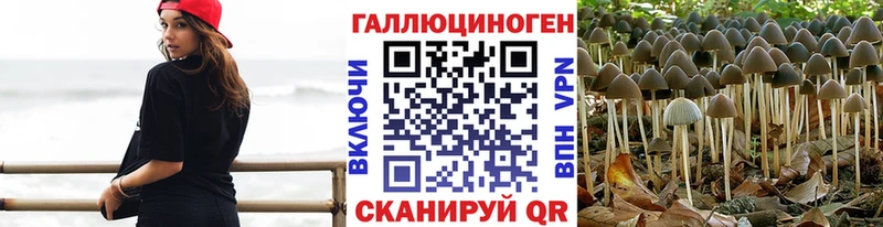 закладка  KRAKEN   Псилоцибиновые грибы Cubensis  Нововоронеж 